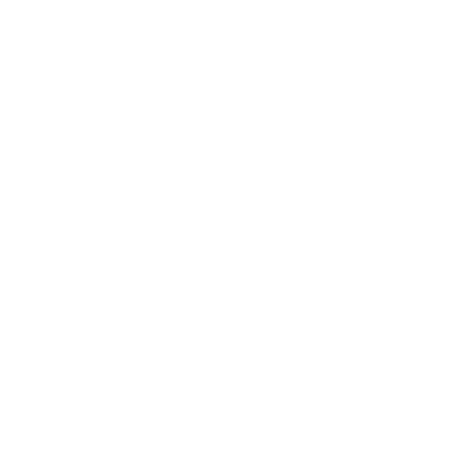 INSAI